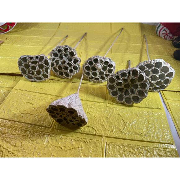 Vintage Lotus Seed Pod Floral Picks Christmas Holiday White Silver Set - Picture 9 of 16